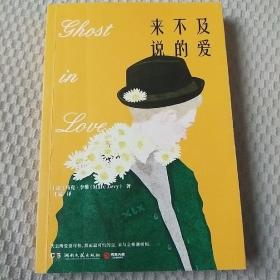 来不及说的爱（继《偷影子的人》，马克?李维又一暖心治愈大作）