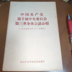 中国共产党第十届中央委员会第三次全体会议公报