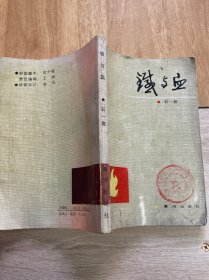 铁与血（石一宸将军回忆录）89年一印