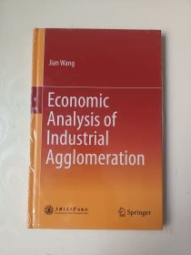 Economic Analysis of Industrial Agglomeration