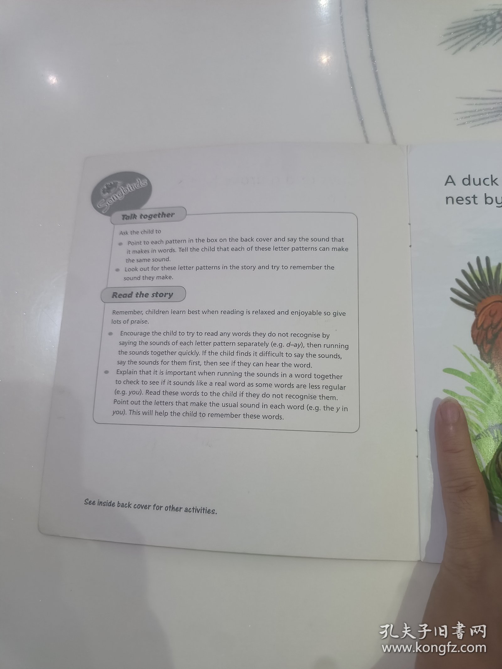 The Snake and the Drake蛇和公鸭