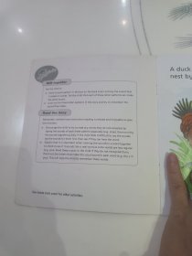 The Snake and the Drake蛇和公鸭