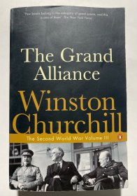 The Grand Alliance：v. 3 (The Second World War)