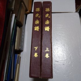 孙氏宗谱（上卷、下卷  乐安堂 江苏省建湖县一带。始祖孙仲仁。辈字：苞和汇朗禧寰宇已澄清）