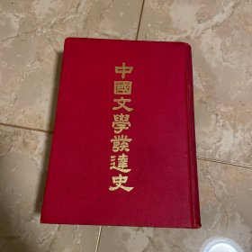 中国文学发达史