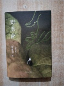 野菩萨（黎紫书短篇小说精选集，特别收入全新短篇《海》，王德威倾力推荐）