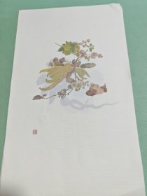 画册