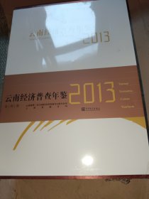 云南经济普查年鉴2013（套装共4册）（精装附光盘）