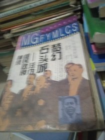梦幻石头城 汪伪国民政府秘录