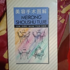 美容手术图解