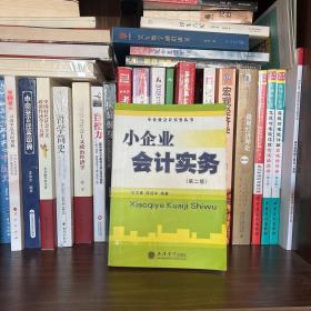 小企业会计实务——小企业会计实务丛书