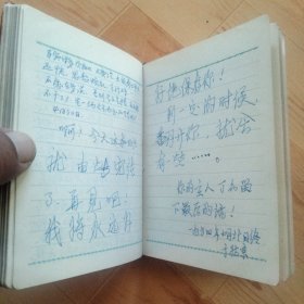 韶山日记  （一个人1974年的日记。只有很少页没用）
