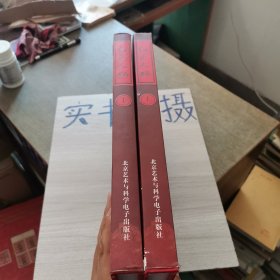 红色中国系列图书·红色人物 上下册