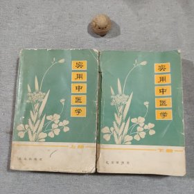 实用中医学 上下
