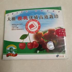 大棚樱桃优质高效栽培 VCD（光盘）