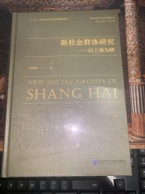 新社会群体研究：以上海为例