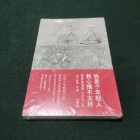 我是个年轻人 我心情不太好