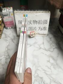 新加坡超级心算法第一辑（套装全3册）