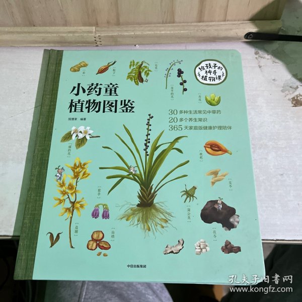 小药童的秘密花园（套装全两册，含：树洞里的小药童、小药童植物图鉴）