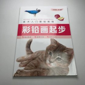 【正版二手】美术入门基础教程彩铅画起步张恒国9787122365774化学工业出版社