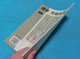 魏体张猛龙碑标准书法教程