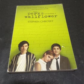 The Perks of Being a Wallflower 壁花少年 英文原版