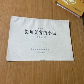 影响美容的小虫完成台本