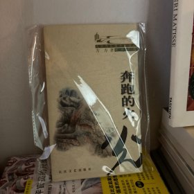 奔跑的火光