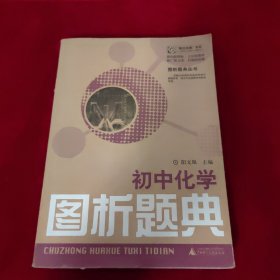 “概念地图”书系·图析题黄丛书：初中化学图析题典