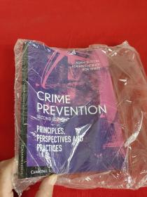 Crime Prevention: Principles, Perspectives...     （16开 ） 【详见图】