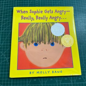 When Sophie Gets Angry...really, Really Angry (Caldecott Honor Book)英文原版［精装］