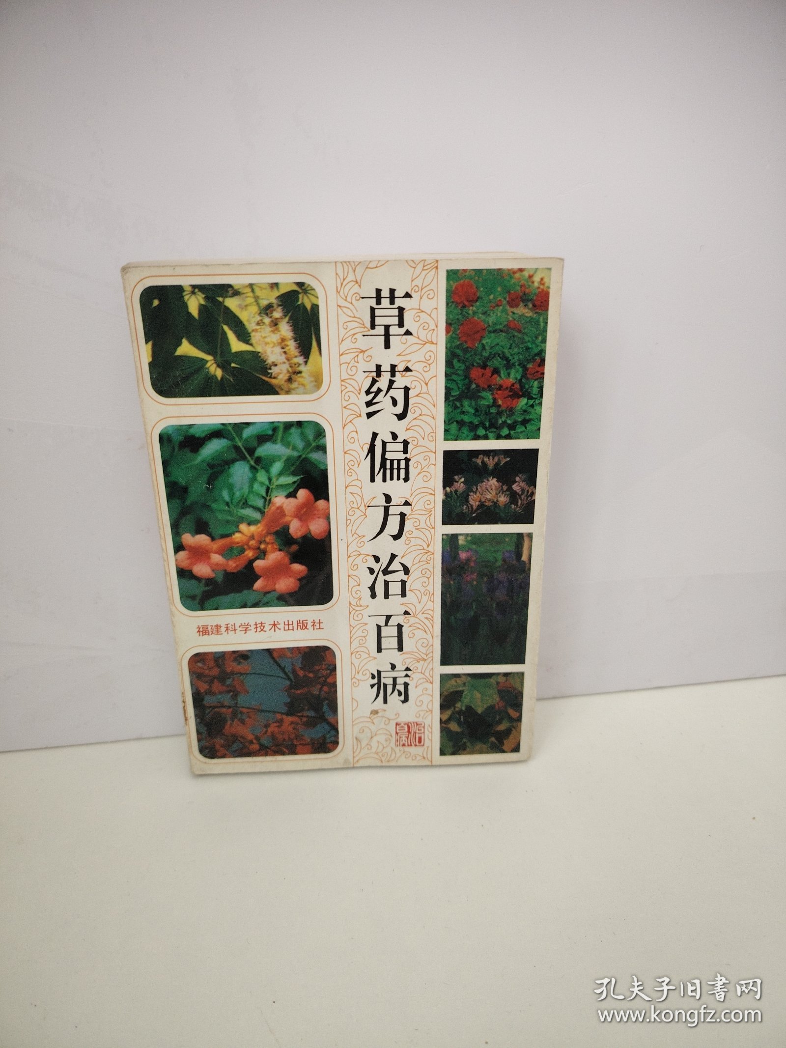草药偏方治百病