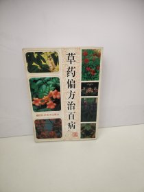 草药偏方治百病