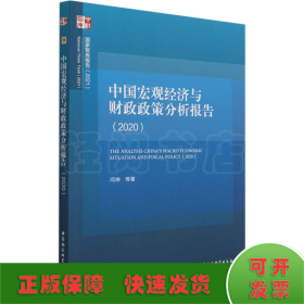 中国宏观经济与财政政策分析报告（2020）