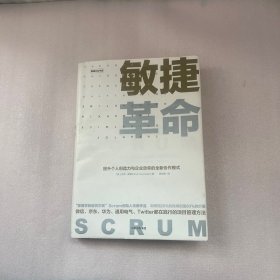 敏捷革命:提升个人创造力与企业效率的全新协作模式