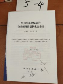 组织模块化赋能的企业颠覆性创新生态系统