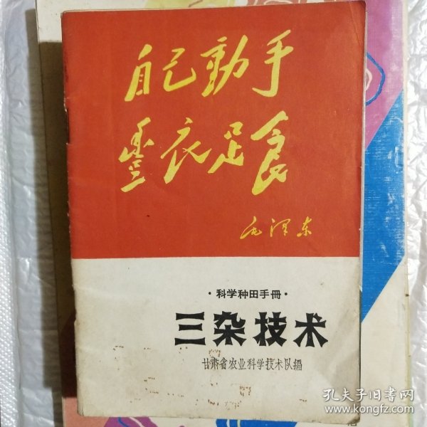 三杂技术