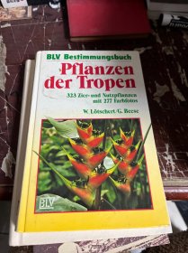 PFLANZEN DER TROPEN