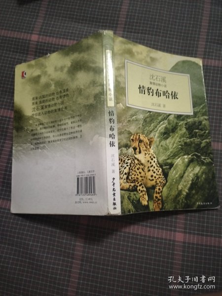 情豹布哈依：沈石溪激情动物小说