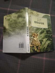 情豹布哈依：沈石溪激情动物小说