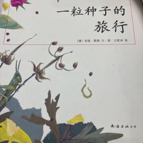 一粒种子的旅行