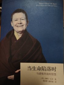 当生命陷落时：与逆境共处的智慧