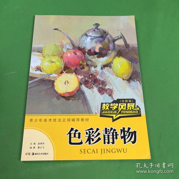 教学风暴 色彩静物（全新版）