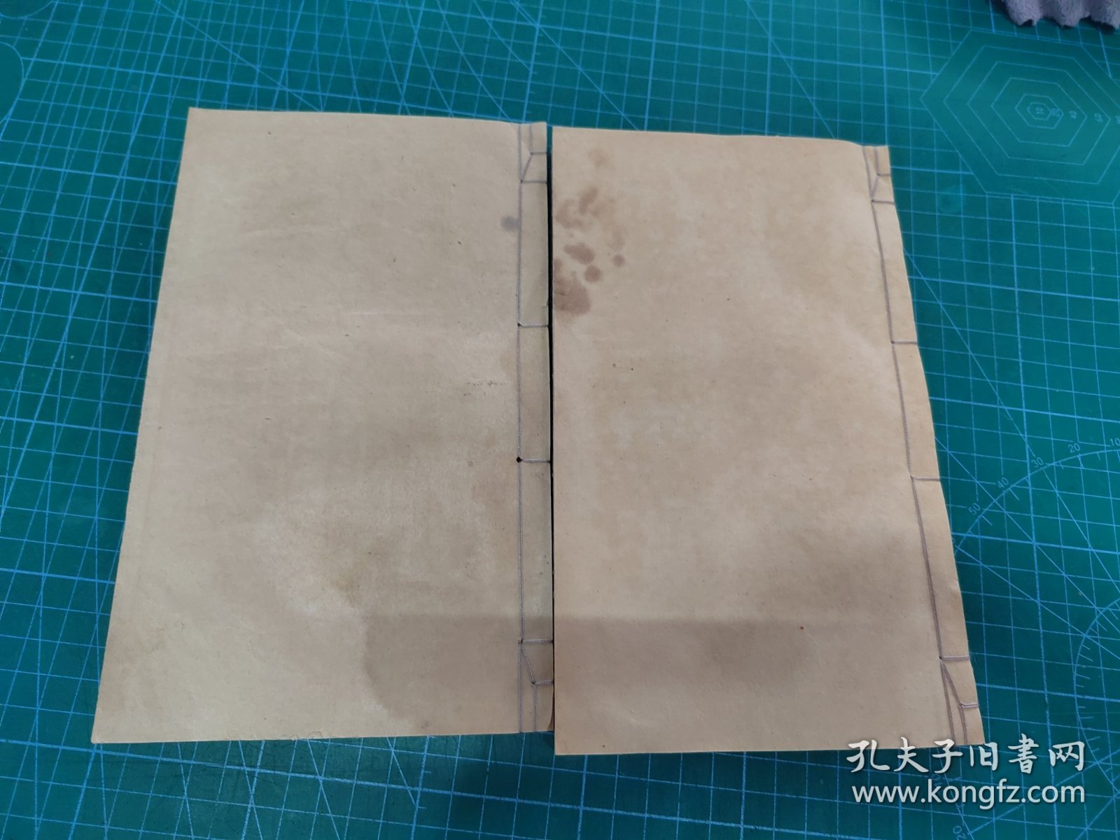 中医秘密，蝇头小楷中医手抄秘方医书