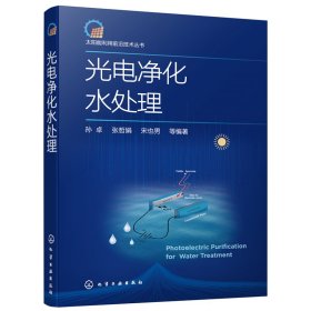 太阳能利用前沿技术丛书--光电净化水处理