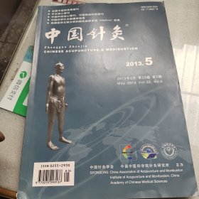 中国针灸杂志（2013.5）