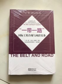 “一带一路”国际工程合规与风控实务/“一带一路”法律丛书第二部