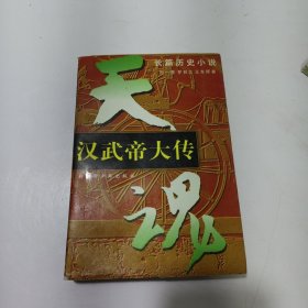 汉武帝大传 下 天魂