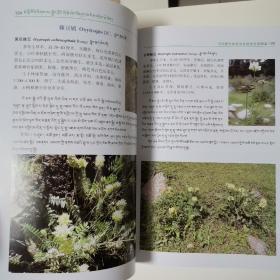 河南蒙古族自治县植物资源图鉴（全一册）〈2020年青海初版发行〉