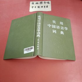 实用中国语言学词典